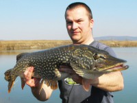 /album/fotogaleria/a88-sukromny-rybnik-abovce-jpg/